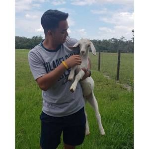 Meet your Posher, Victor